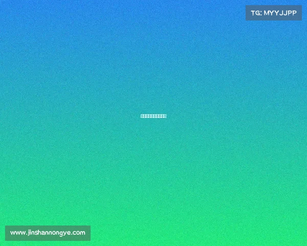 技校电子竞技都学什么