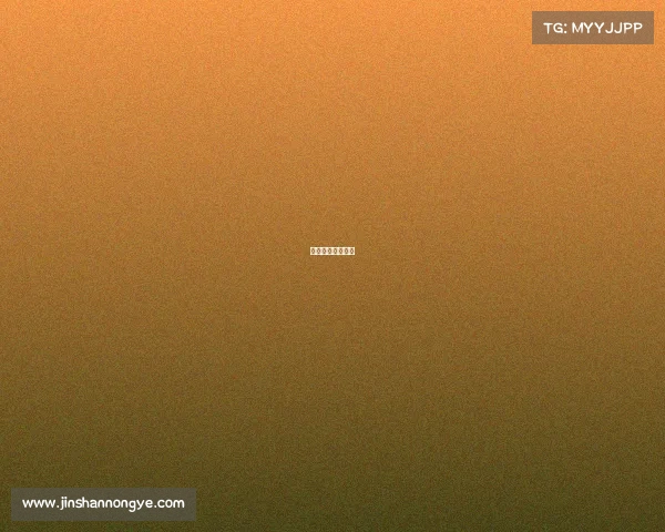 珠海电子游戏机室